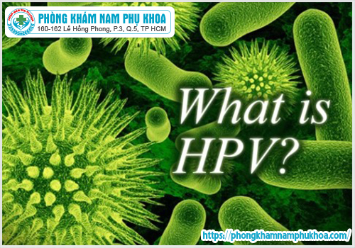 Hình ảnh Virus HPV gây bệnh sùi mào gà