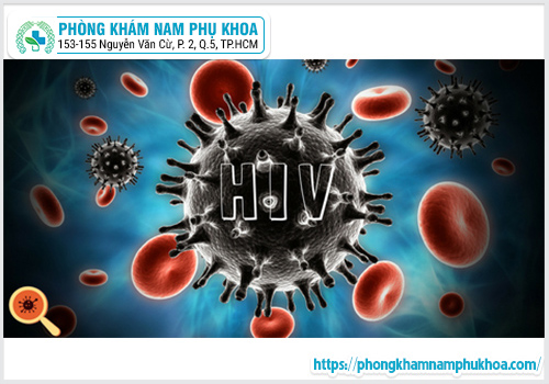 Xét Nghiệm HIV Test Nhanh Liệu Có Chính Xác Không ?