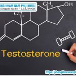 👨‍⚕️ Dấu Hiệu Suy Giảm Testosterone Ở Nam Giới