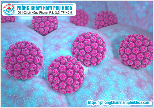 Có phải dùng chung Sextoy dễ gây nhiễm HPV