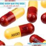 ⚕️ Sử Dụng Amoxicillin Chữa Viêm Đường Tiết Niệu Có Được Không 