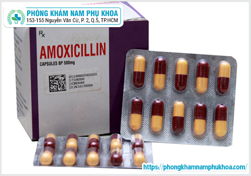 Sử Dụng Amoxicillin Chữa Viêm Đường Tiết Niệu